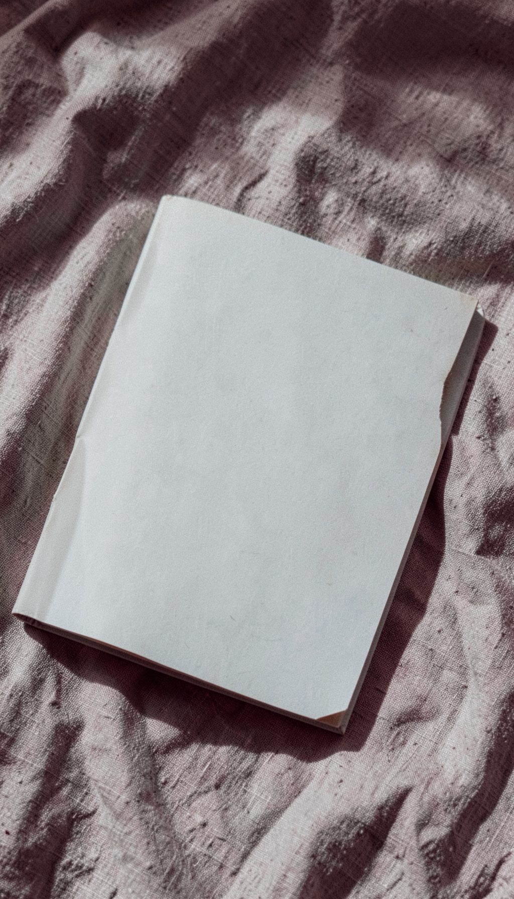 A paperback book with a cream and soft blue cover resting on a linen cloth, muted natural light.