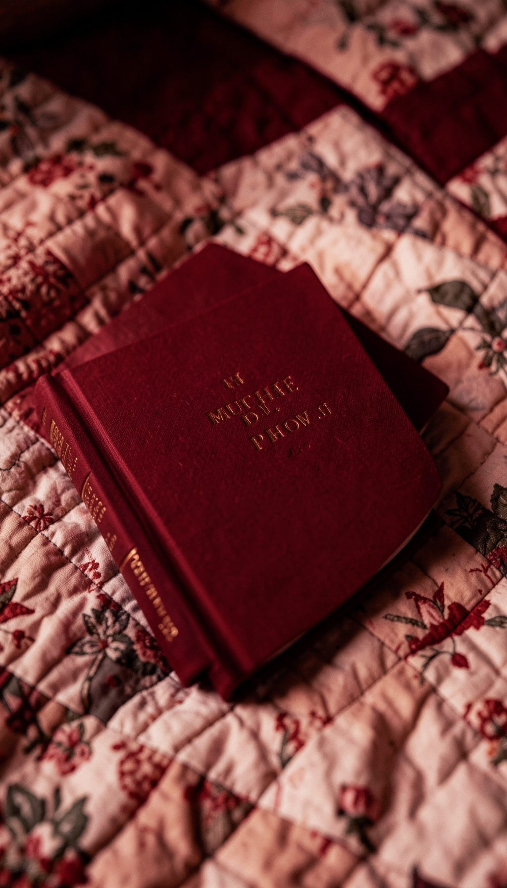 A hardcover book with a deep red spine and gold lettering, lying open on a quilt, warm and cozy atmosphere.